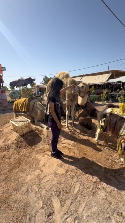 Vidéos filmés durant mon séjour du 24 mai au 3 juin 2025 puis du 26 juin au 28 juillet 2025. Voir mes vidéos précédentes sur le Maroc pour mieux comprendre