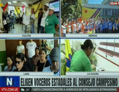 Falcón | Campesinos participan en jornada electoral para fortalecer la soberanía alimentaria