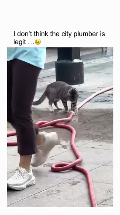 1000305788
