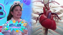 iBilib: How many times does your heart beat?