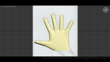 Flame: 3DS MAX Practice Polygon Hand Model Video #8 (01-19-2026)