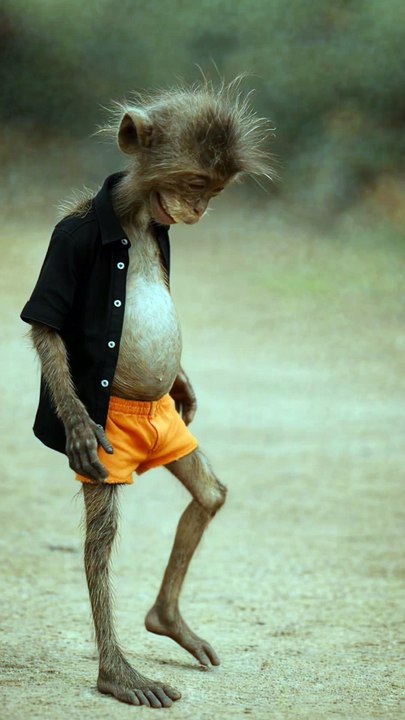 Funny monkey