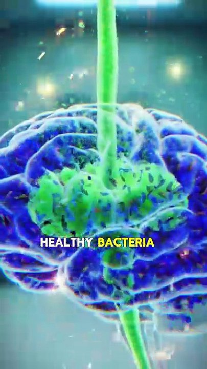 Green Smoothie Effects on the Human Body | 3D Anatomy Breakdown