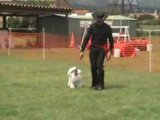 Aubagne 10 MAI 08 Oberythmee René