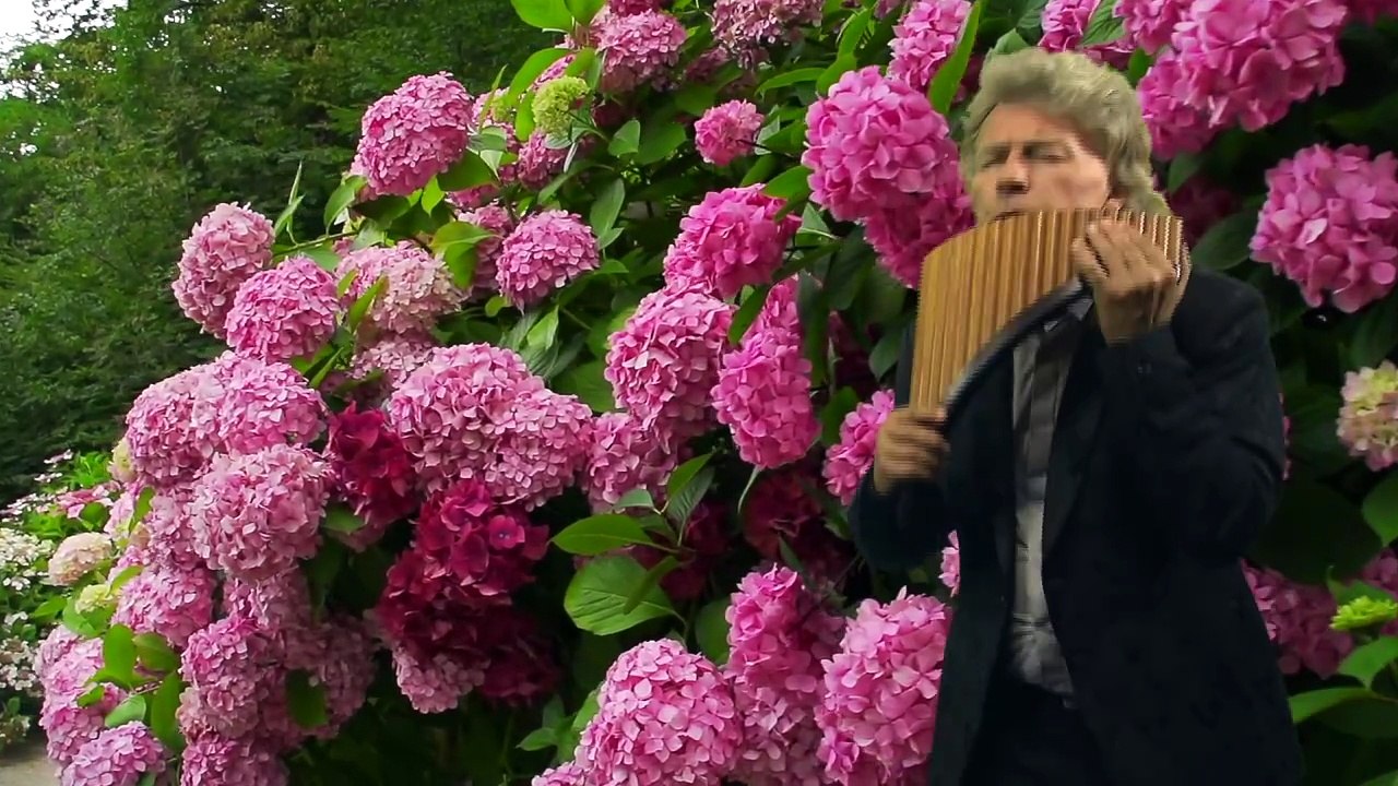 Edward Simoni - Merci Cherie