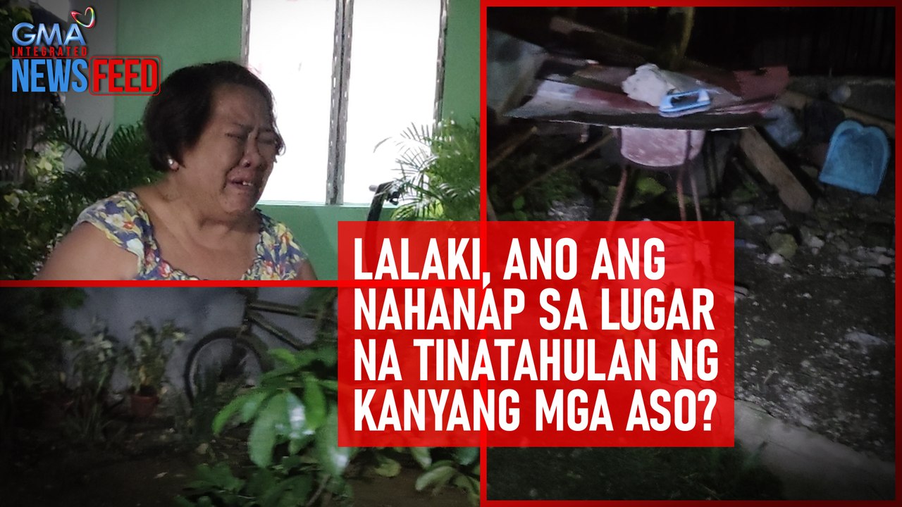 Lalaki, ano ang nahanap sa lugar na tinatahulan ng kanyang mga aso? | GMA Integrated Newsfeed