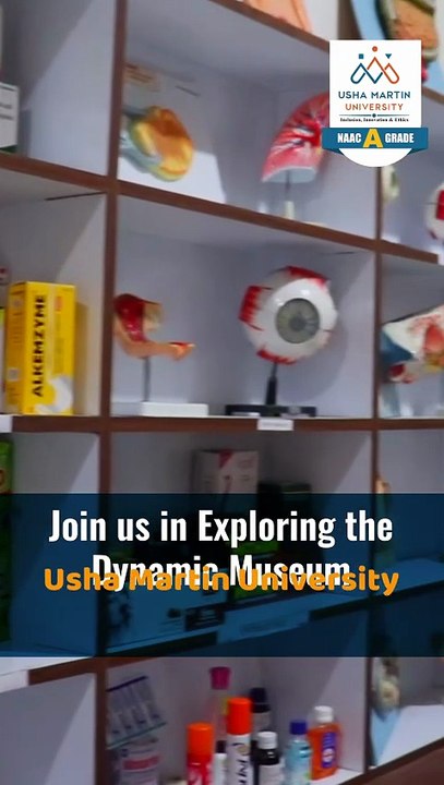 Experience the Museum at the Top University in Ranchi, Usha Martin University, Jharkhand, Jharkhand