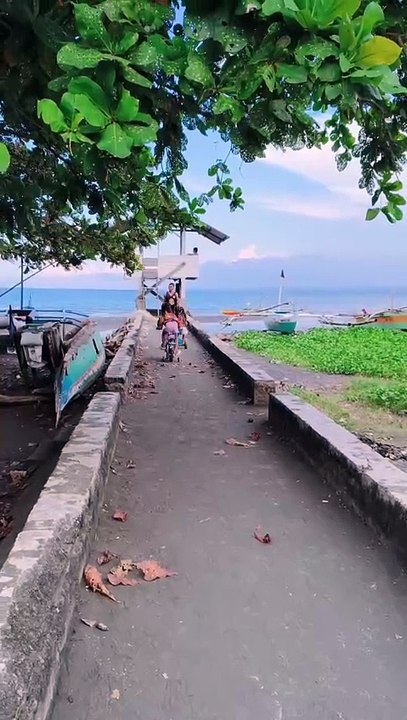 Padulong pauli