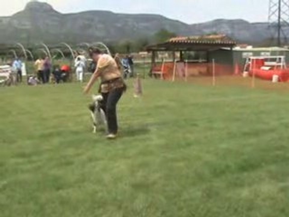 Aubagne 10 MAI 08 Oberythmee indienne