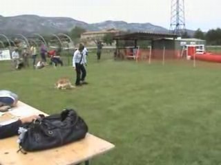 Aubagne 10 MAI 08 Oberythmee Laetitia et betty boop