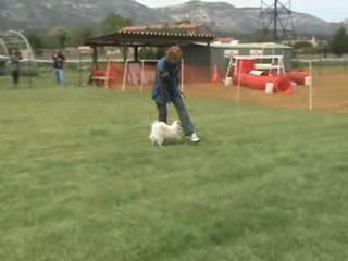 Aubagne 10 MAI 08 Oberythmee Aubagne