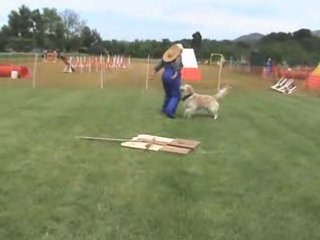 Aubagne 10 MAI 08 Oberythmee  Jardiniere