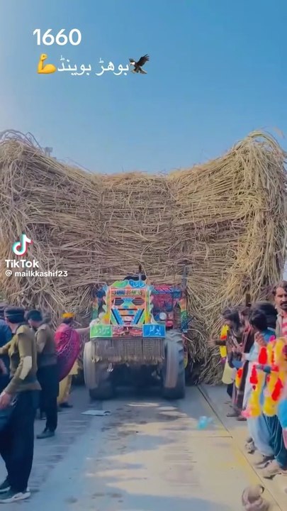 Punjabi mahol