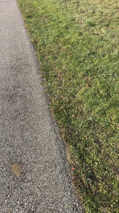 C’est quoi ces petits toits jaunes au bord des routes ? 🧐