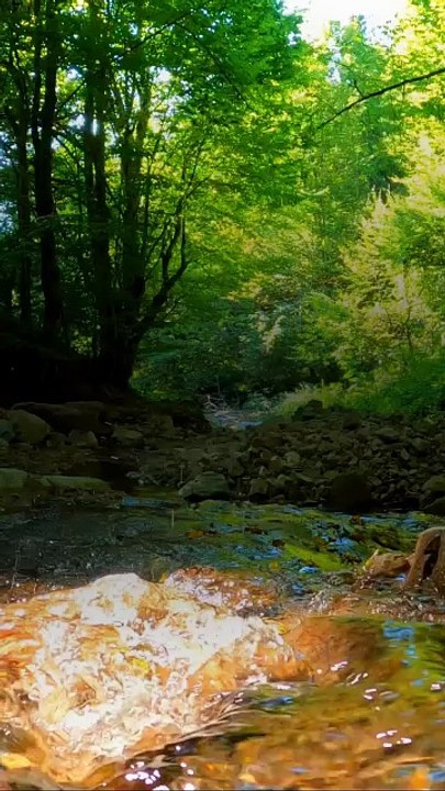 🔥 Surah Al-Baqarah 2:201–202 سورة البقرة ⚡🤲⚖️ #love #Quran #Viral #shorts #trending #YouTubeShorts