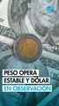 Peso mexicano opera estable contra el dólar en mercado atento a Donald Trump