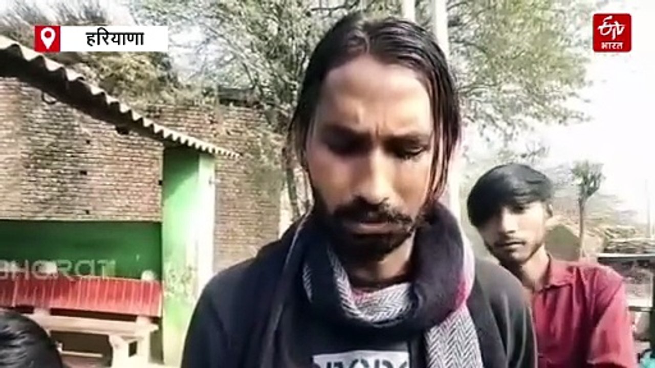 नूंह में आवारा कुत्तों का कहर, 3 दिन में 32 को काटा, हाथों में डंडे लेकर निकल रहे लोग
