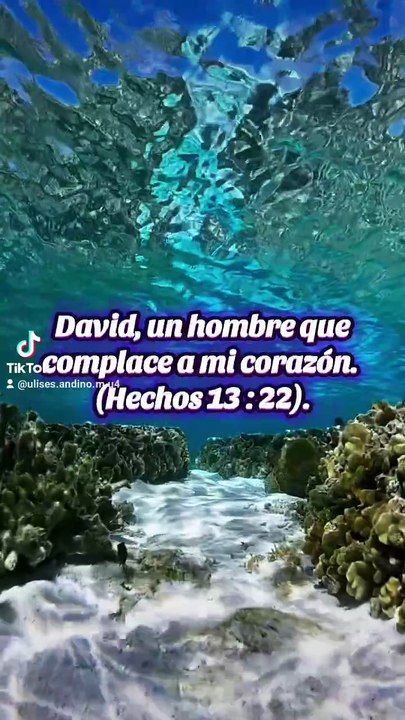 Obediencia