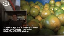 Acordo UE-Mercosul pode gerar economia de R$ 1,3 BI para exportações brasileira de suco de laranja