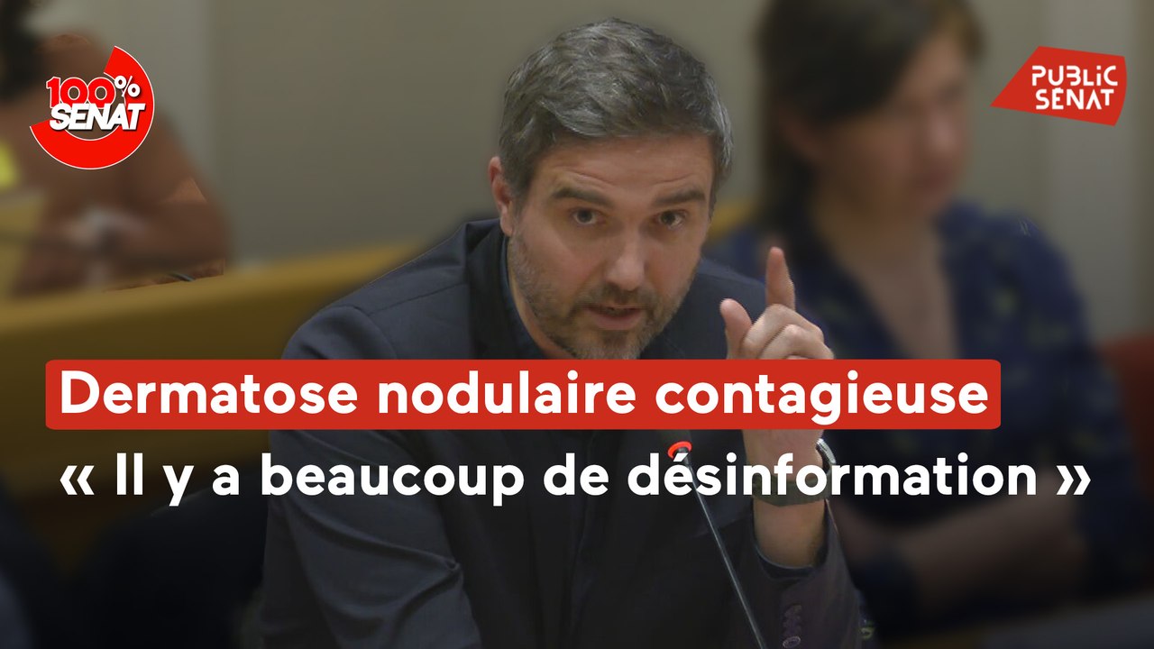 100% Sénat - Dermatose nodulaire contagieuse : que dit la science ?