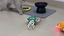 Octopus Cat Toy