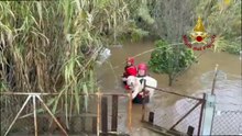 Esonda un torrente nel Cagliaritano, nove cani rischiano di morire annegati: salvati dai vigili del fuoco