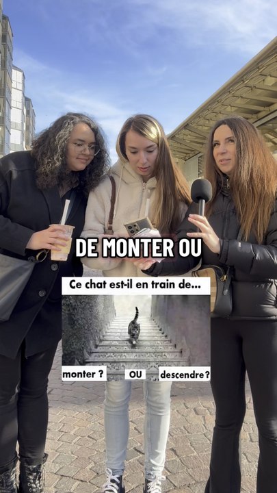 Le chat monte ou descend