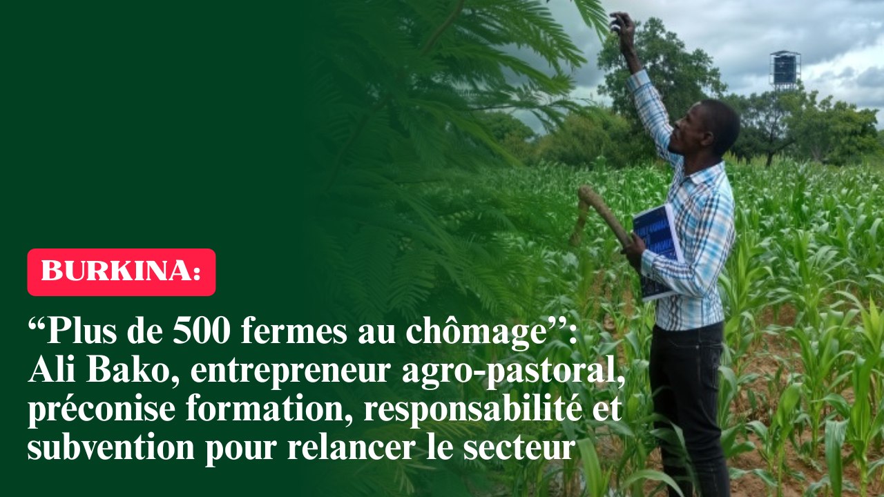 Burkina/“Plus de 500 fermes au chômage’’ : Ali Bako, entrepreneur agro-pastoral, préconise formation, responsabilité et subvention pour relancer le secteur