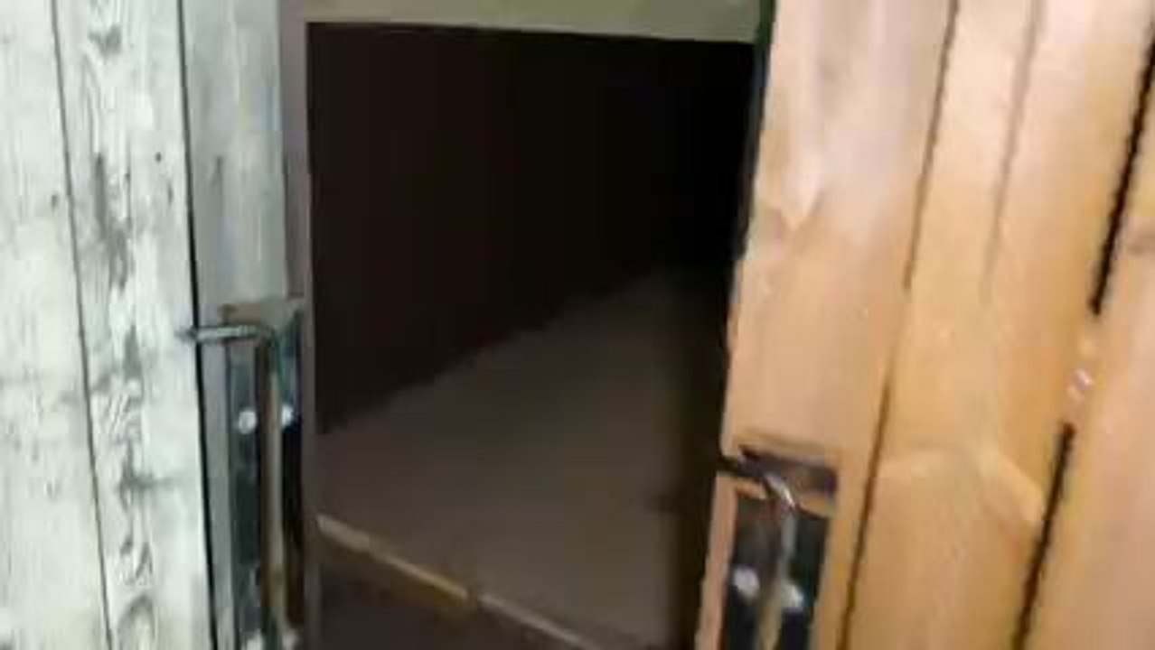 There is Free Books & Free Movies in The Dumpster