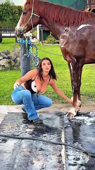 10 Horse Kicks That Knocked Out Memories  😱