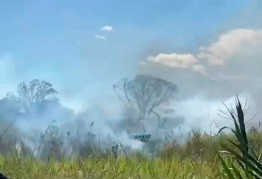 Incendio en 100 hectáreas de vegetación afecta operaciones en el Aeropuerto Daniel Oduber