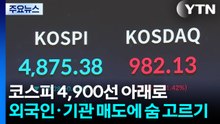 코스피 4,900선 아래로...외국인·기관 매도에 숨 고르기 / YTN