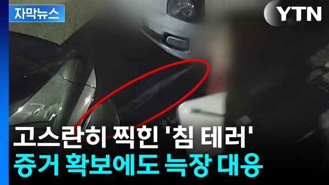 [자막뉴스] CCTV 제출했지만 민사로 해결 ...늑장 대응에 반복된 '침 테러' / YTN