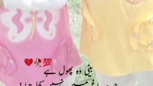 Punjabi mohal