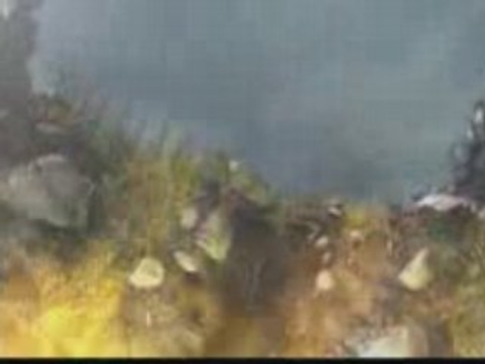 Warcraft III - Bande annonce