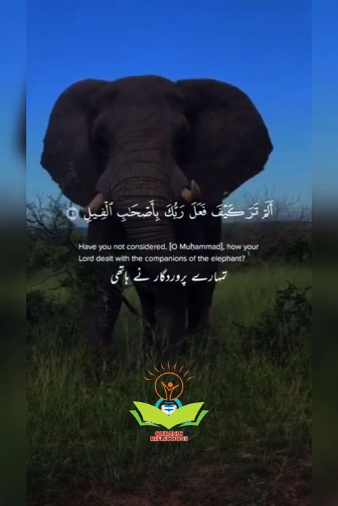 QURANIC REFLACTI9NS