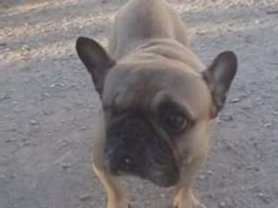 YUNA a les oreilles qui frétillent...