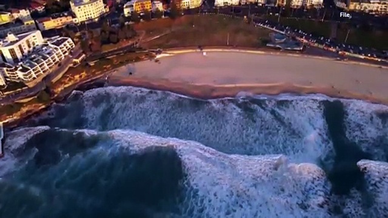 Australia shuts dozens of east coast beaches after shark attacks