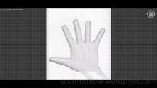 Flame: 3DS MAX Practice Polygon Hand Model Video #10 (01-21-2026)