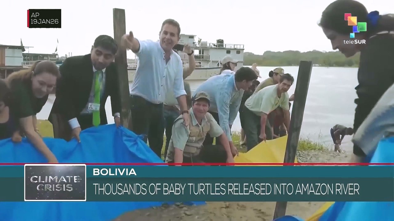 Bolivia: Thousands of baby turtles released into Amazon river