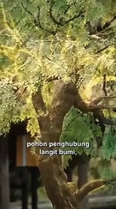 aku hanya seorang pecundang full episode