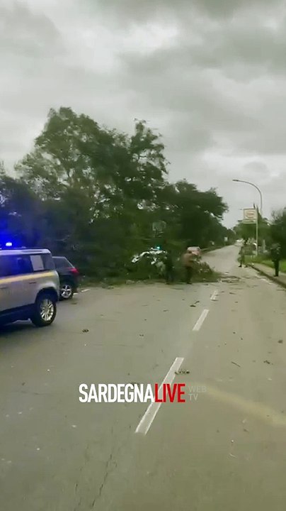 Maltempo. Tortol?, albero cade su auto in transito