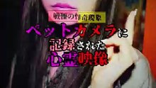 戦慄の怪奇現象 ペットカメラに記録された 心霊映像👻