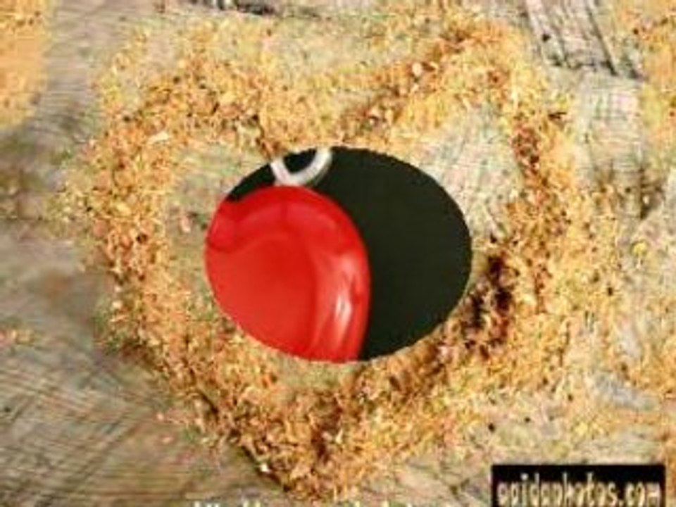 kostenlos: Ecards, zum Valentinstag, Hochzeit, Verlobung