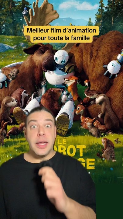 The Wild Robot (le robot sauvage en français) vient d’être ajouté sur Netflix et il faut vraiment que tout le monde voit ce film parce que c’est l’un des meilleurs films d’animation de ces dernière années !!!