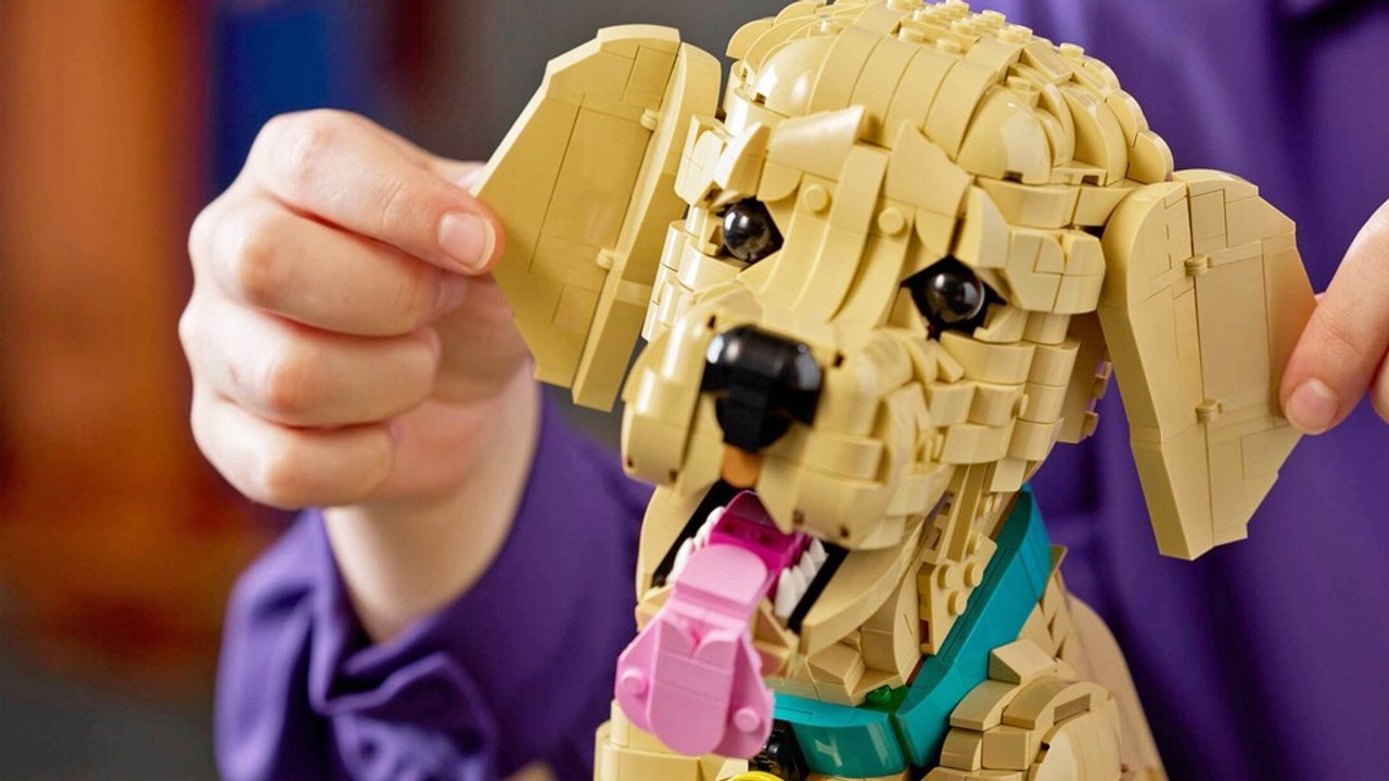 Guter Junge: Ihr könnt euch jetzt einen Golden Retriever aus Lego bauen, wenn ihr keinen Platz für einen echten Hund habt