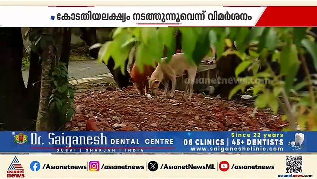 'കോടതിയലക്ഷ്യം നടത്തുന്നു'; തെരുവുനായ കേസിൽ മനേകാ ഗാന്ധിയ്ക്ക് സുപ്രീംകോടതിയുടെ രൂക്ഷ വിമർശനം