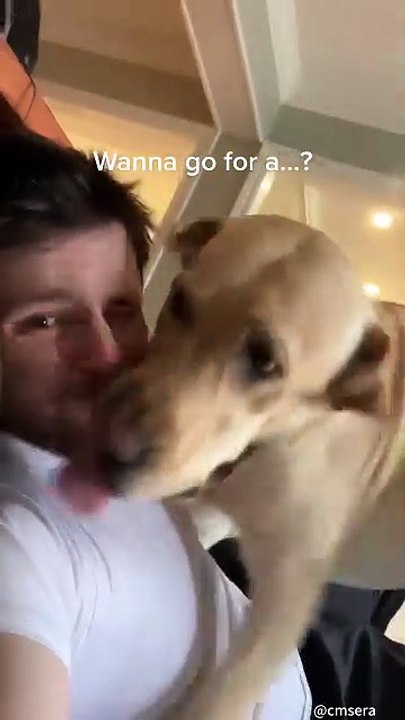 When My Dog Hears the Go Outside Signal!