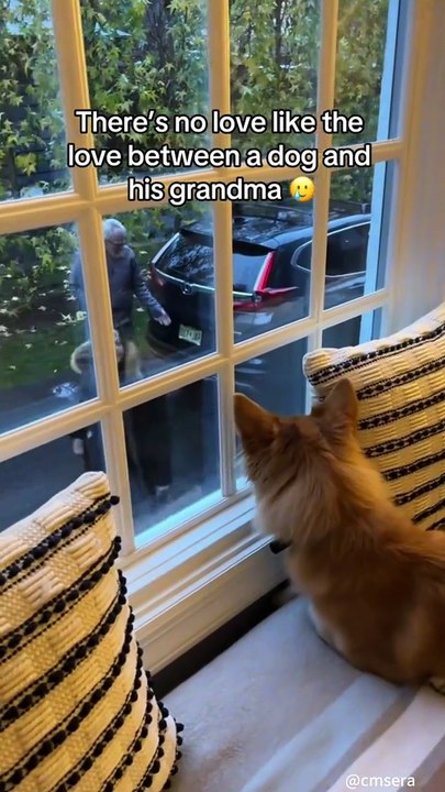 He loves his grandparents more than anything in the world.