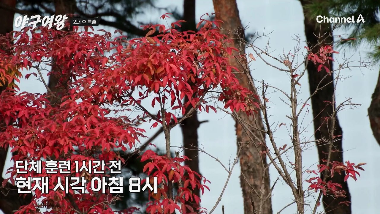 이글거리는 승부욕! 2패 후 특훈에 들어간 블랙퀸즈! 추 감독의 야구 노하우 대공개?!